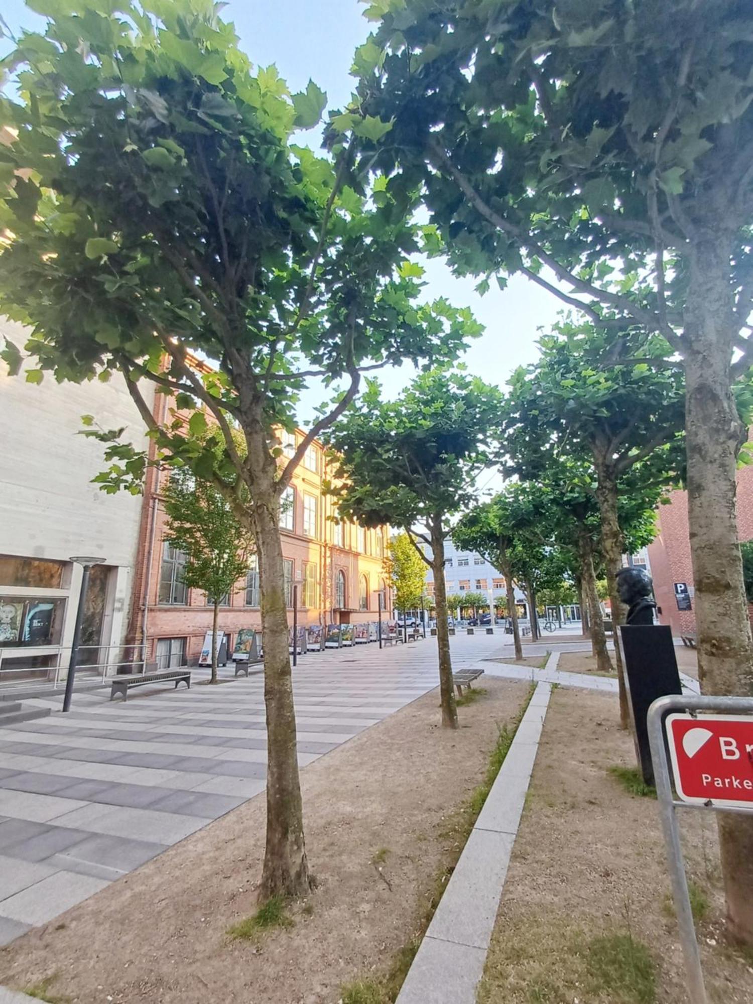 Beautiful Double Room In The Center Of City Randers Ngoại thất bức ảnh